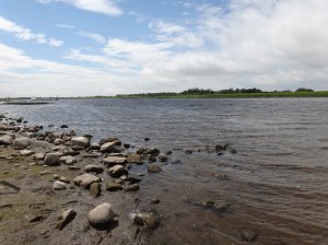 Shannon River